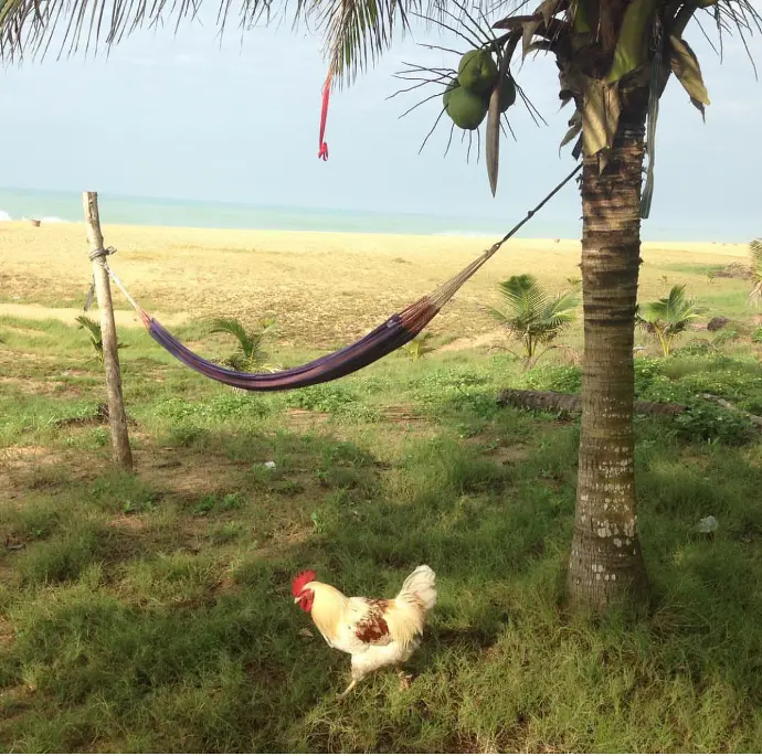 Grand Popo, Benin
