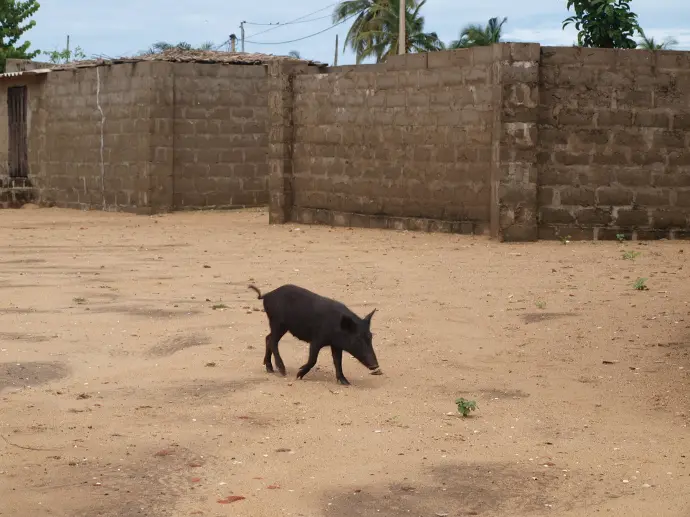 Grand Popo, Benin