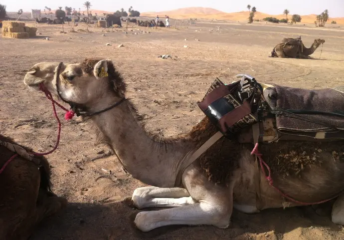 Merzouga, Marruecos