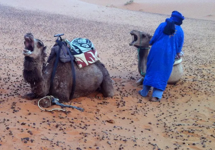 Merzouga, Marruecos