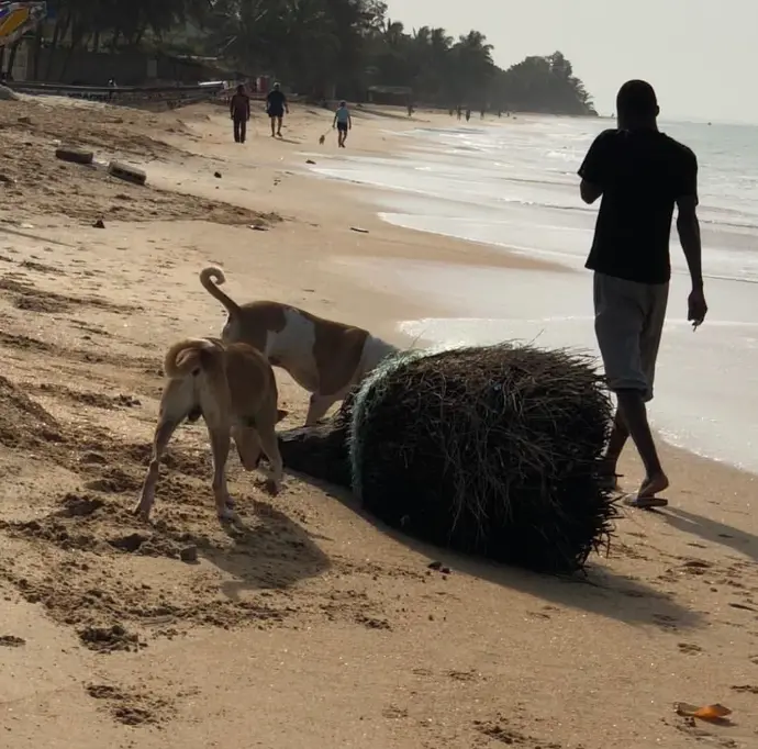 Sally, Senegal