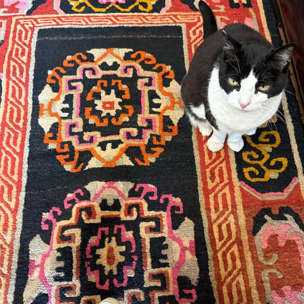 Alfombra china, 174x94cm. (col. Bentley)