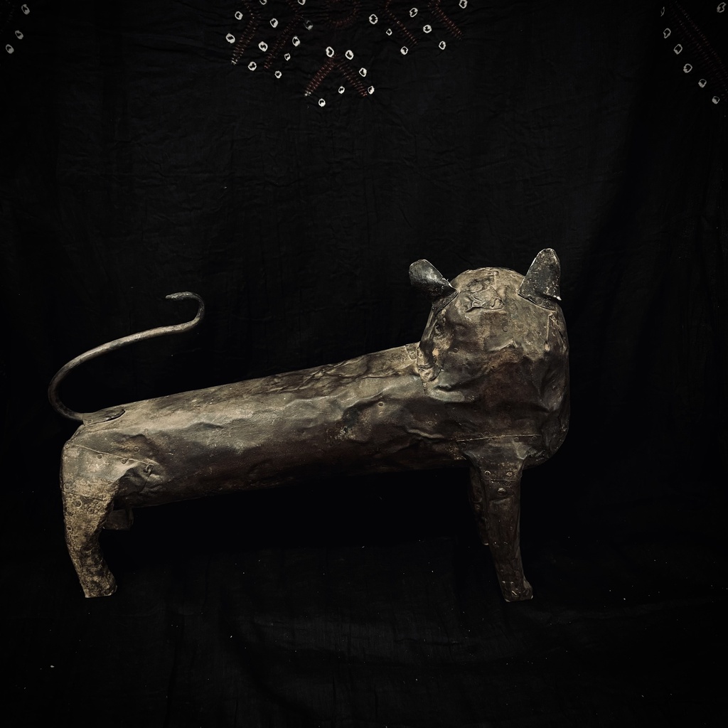 Leopardo de ojos de oro